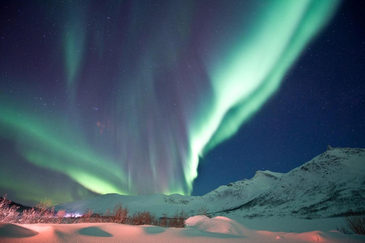Kaikanten Rorbuer Sennesvik المظهر الخارجي الصورة